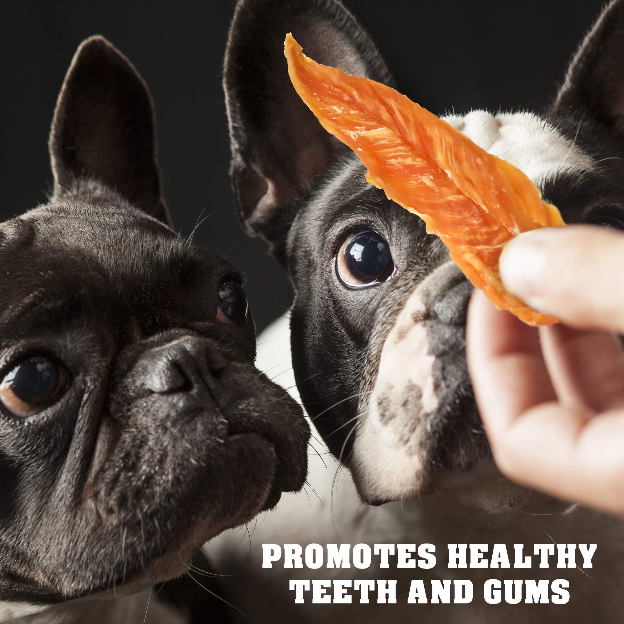 Beloved Pets chicken jerky dog treats close up, tasty protein chew for training