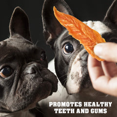 Beloved Pets chicken jerky dog treats close up, tasty protein chew for training