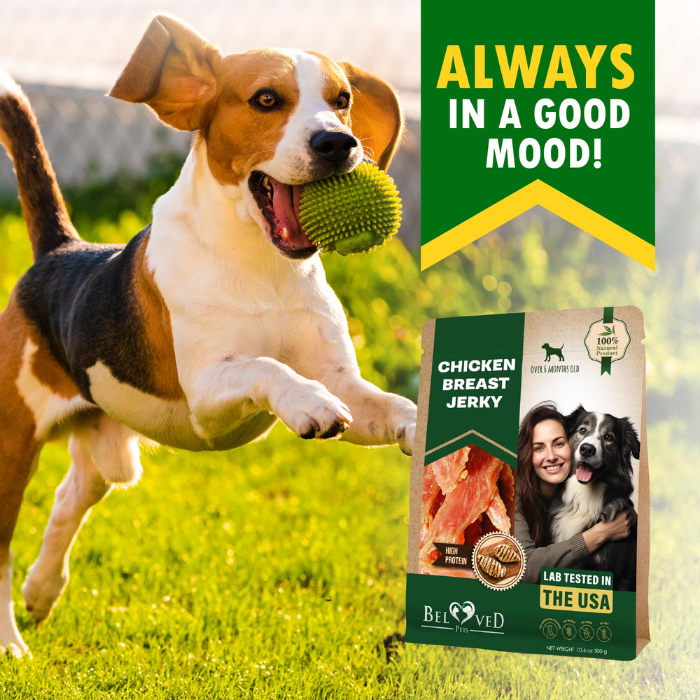 Beloved Pets chicken jerky rawhide-free chews shown as puppy treat.
