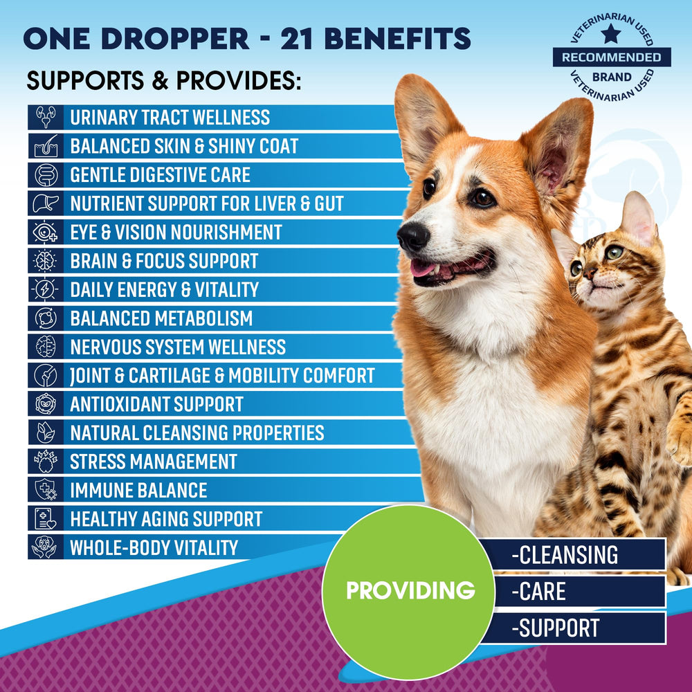 Beloved Pets cranberry drops closeup promote urinary health and bladder comfort.
