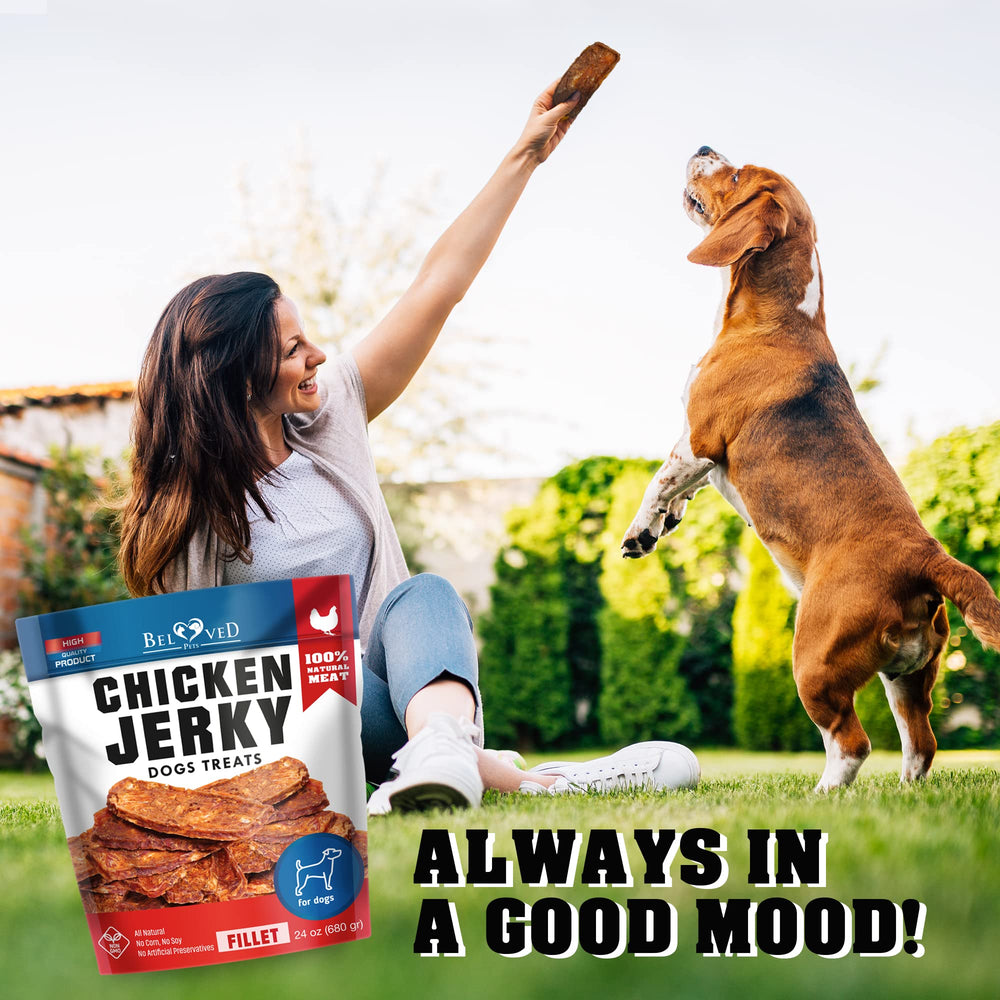 Beloved Pets chicken jerky ingredient-list, 100 percent meat with chicken and duck.
