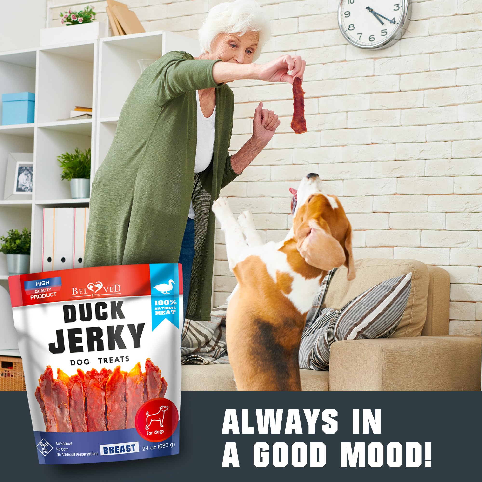 Beloved Pets dog treats packaging side detailing bulk option
