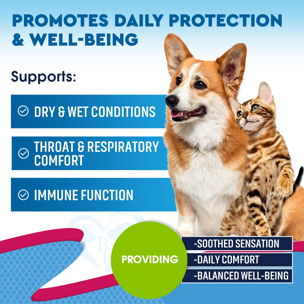 Beloved Pets drops dropper usage demonstrates easy dosing for puppies and adult pets