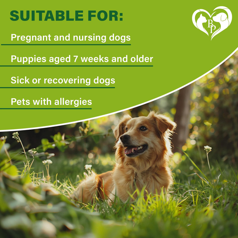 Beloved Pets durable collar withstands active play and daily wear.