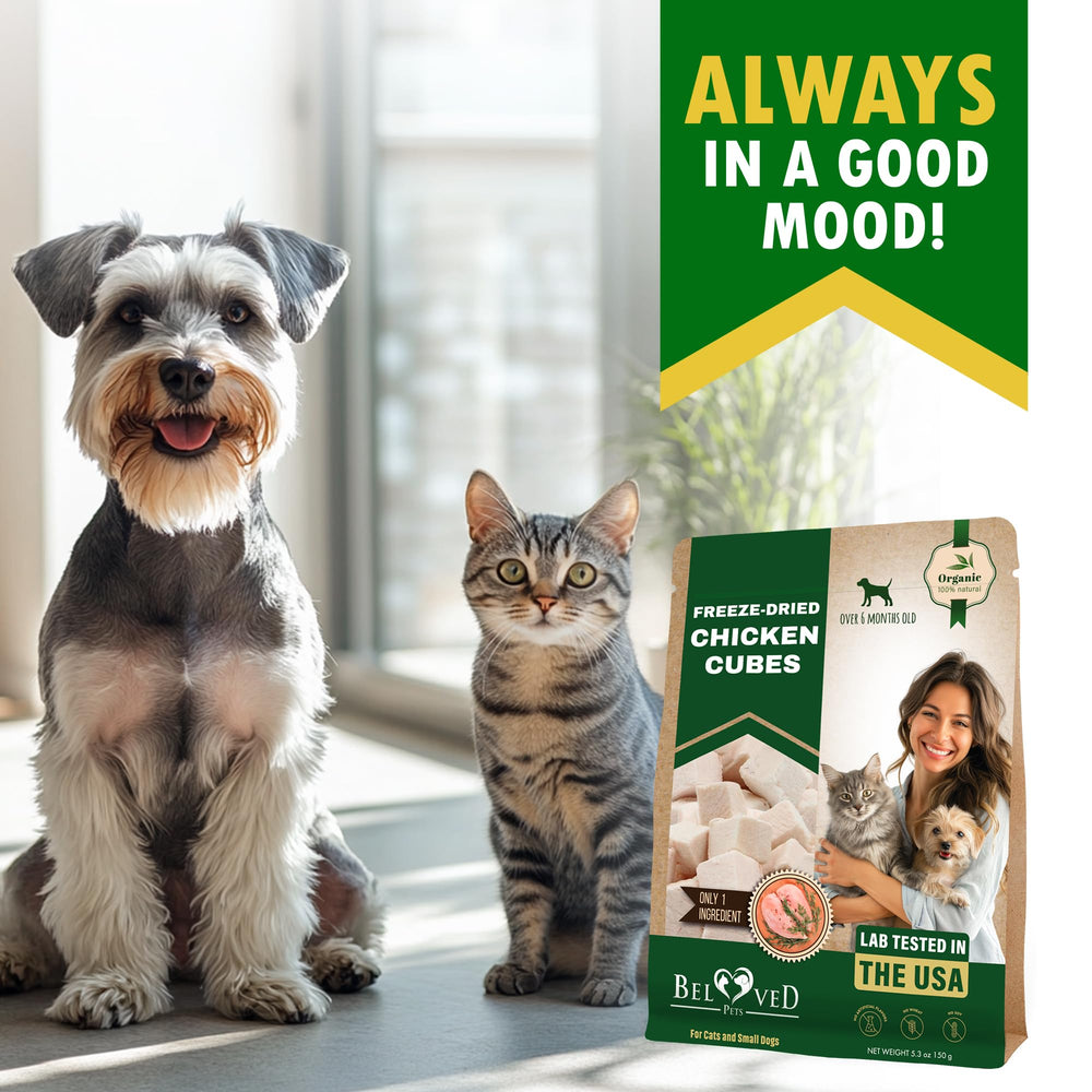 Beloved Pets freeze-dried chicken cubes ingredient closeup, no additives or preservatives.