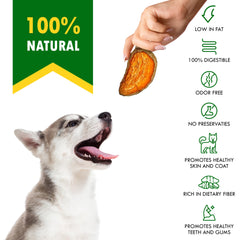 Beloved Pets Grain-Free Dog Treat in bag; gentle on digestion and easy to share.