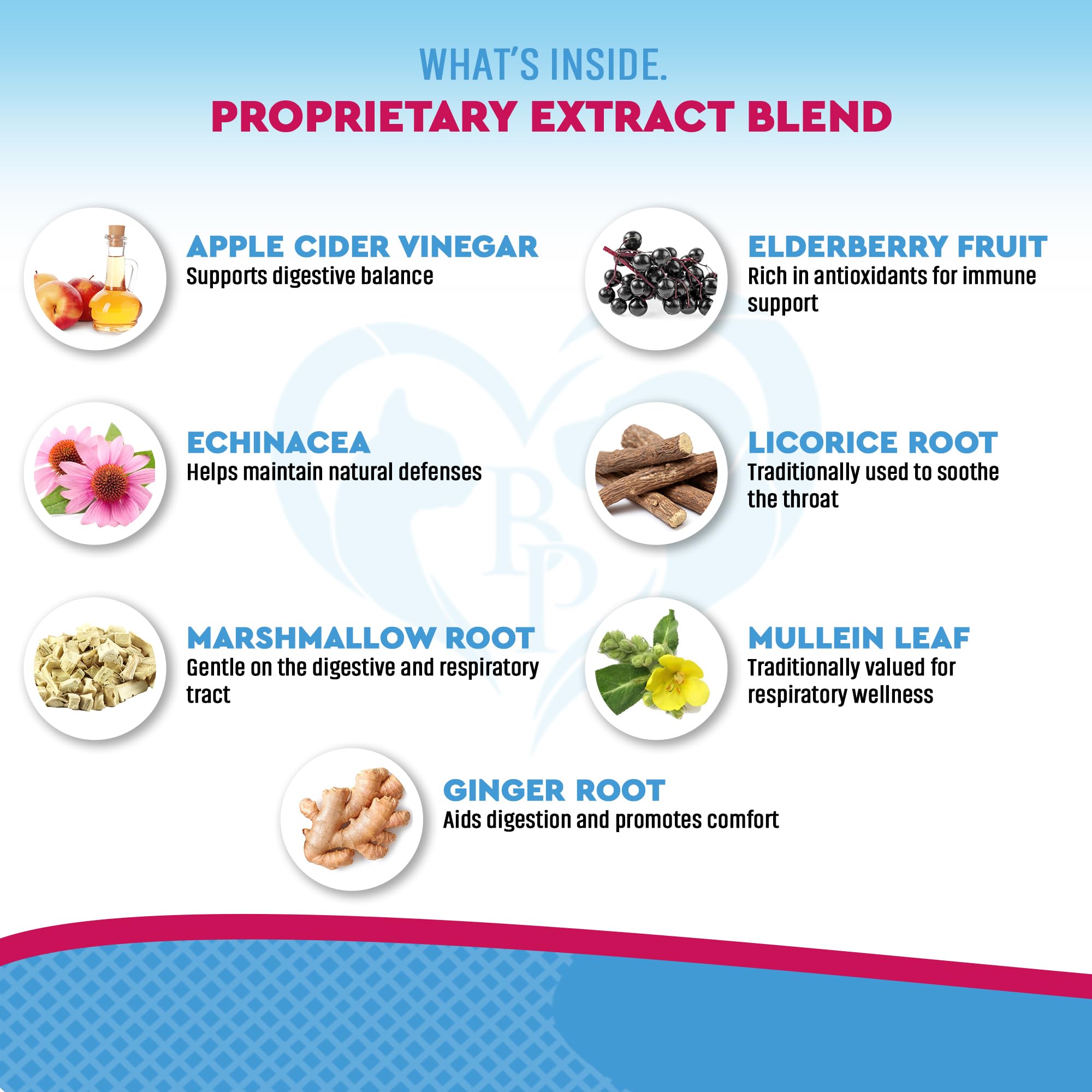 Beloved Pets herbal ingredients closeup highlights plant-based cough support
