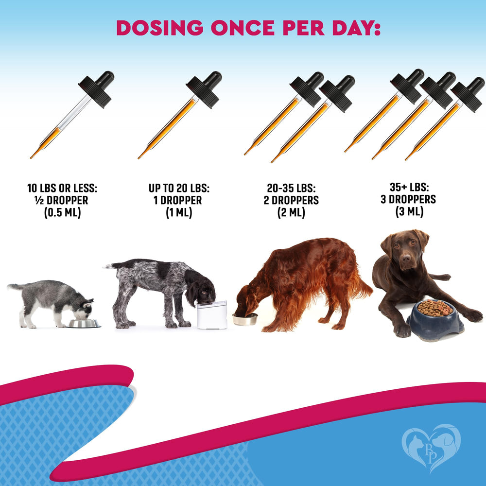 Beloved Pets immune support icon suggests natural health benefits for pets