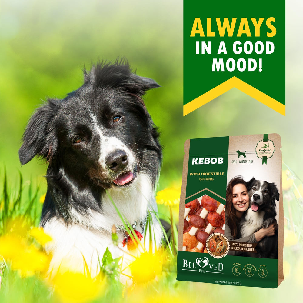 Beloved Pets long-lasting chew offers satisfying chew sessions.