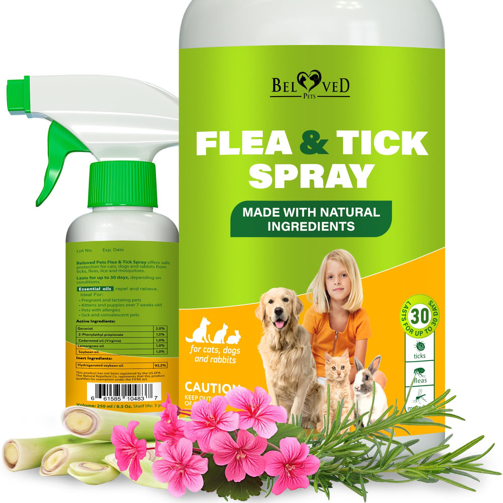 Beloved Pets flea tick spray bottle application for quick home use