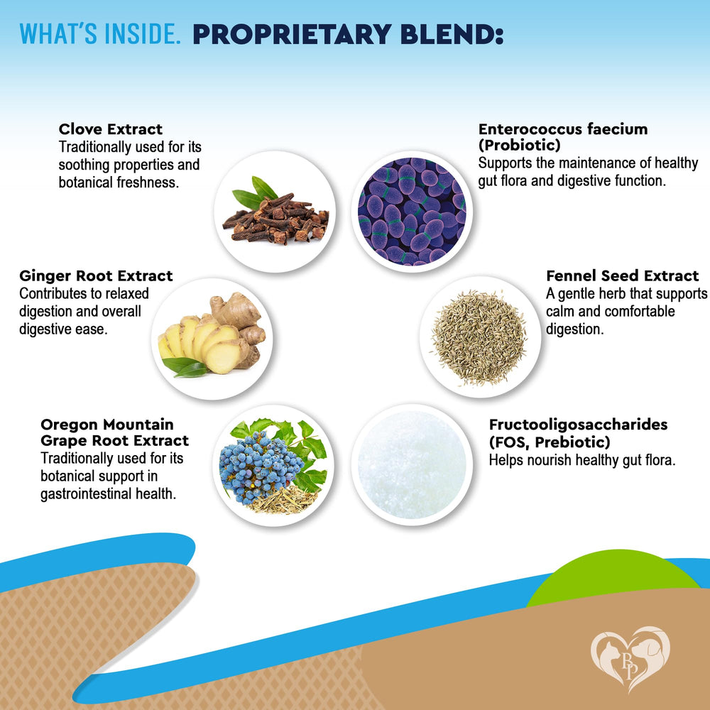 Beloved Pets Natural Intestinal Defense shows probiotic ingredients for gut balance.