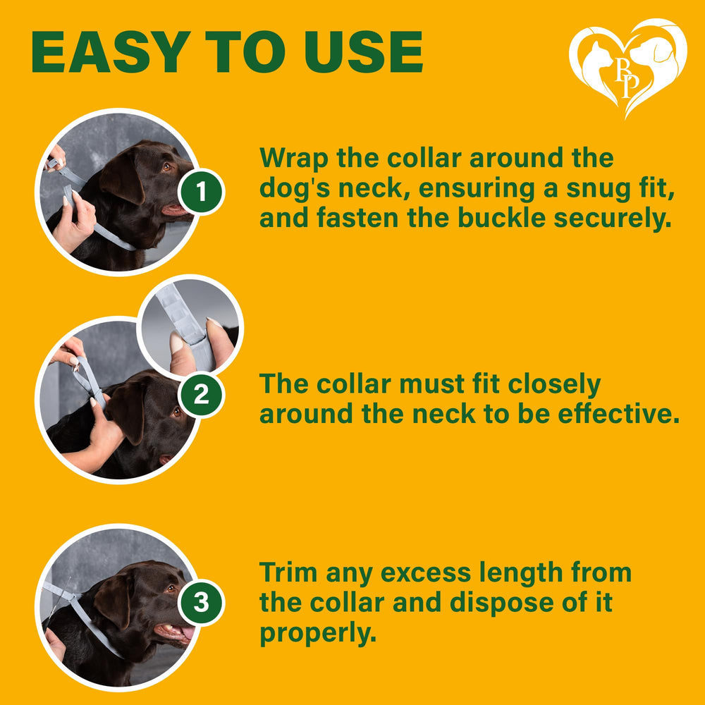 Beloved Pets non-irritating system collar offers comfortable, ongoing protection.