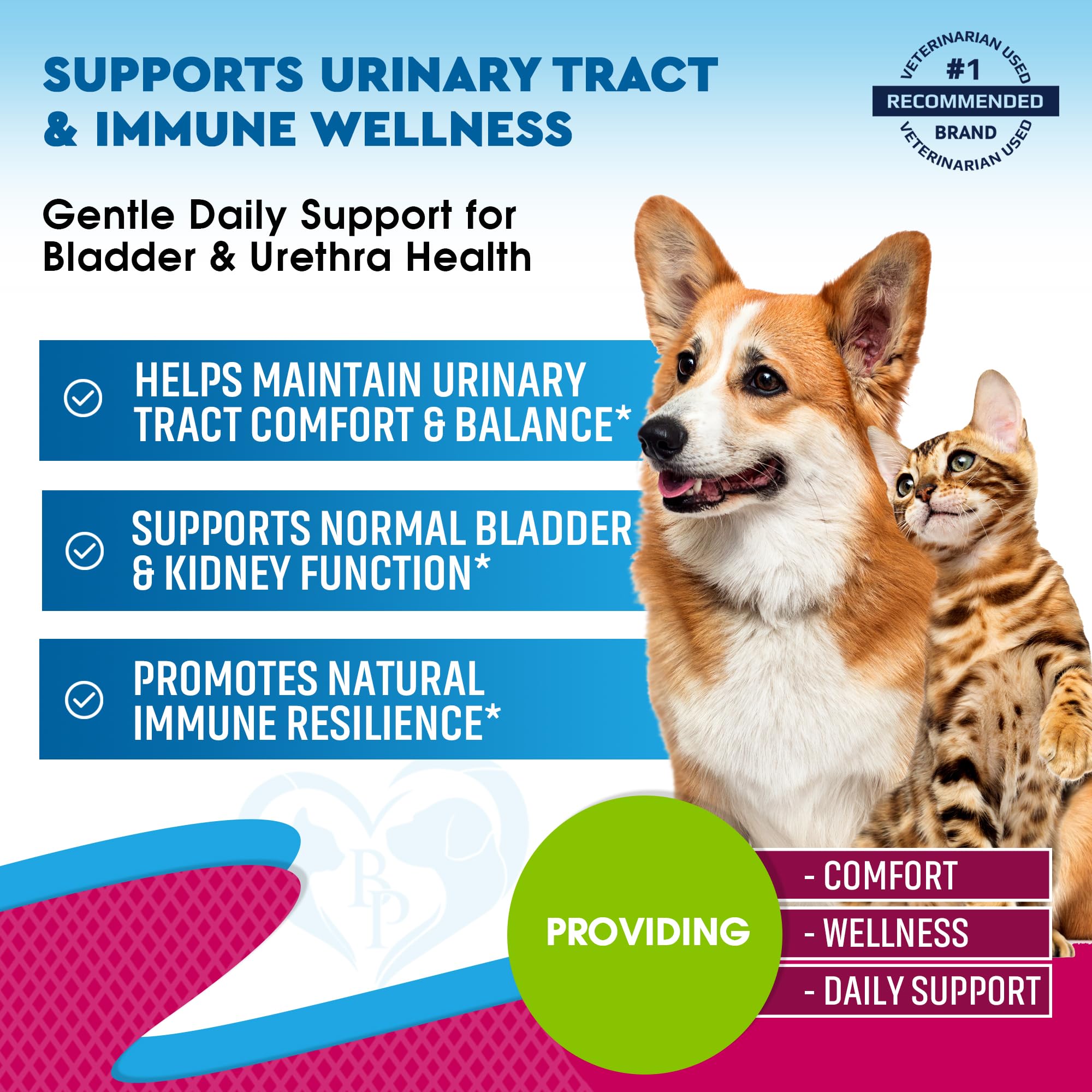 Front packaging of Beloved Pets UTI treatment highlighting cranberry and D-Mannose ingredients.