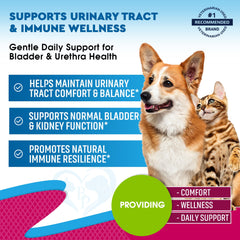 Front packaging of Beloved Pets UTI treatment highlighting cranberry and D-Mannose ingredients.
