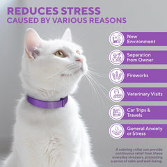 Beloved Pets pheromone collar harmony-effect demonstrates subtle signals to ease nerves
