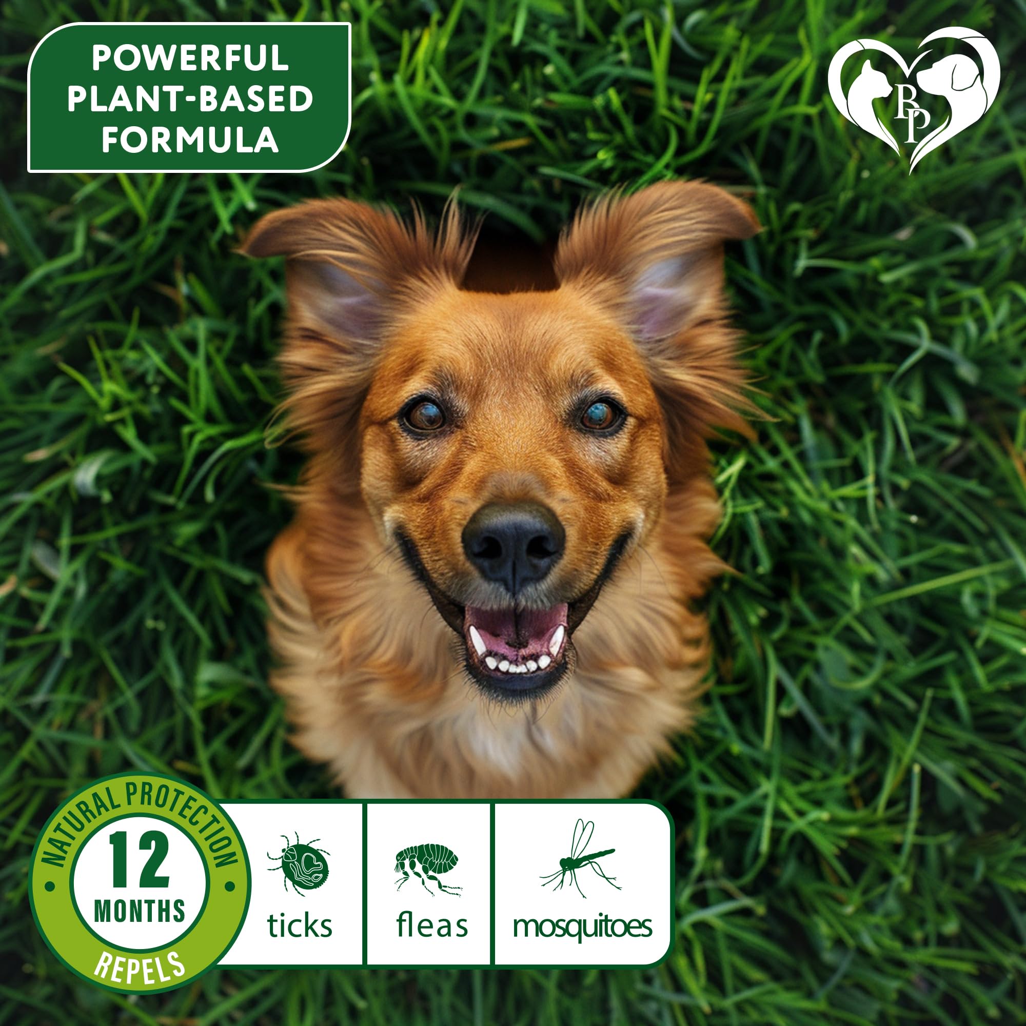 Beloved Pets plant-based formula collar delivers long-lasting repellent without sprays.
