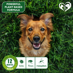 Beloved Pets plant-based formula collar delivers long-lasting repellent without sprays.