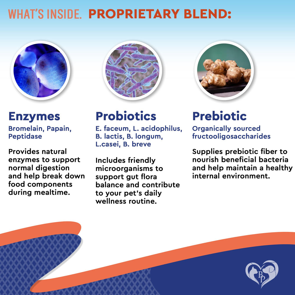 Beloved Pets probiotics daily-use shot demonstrates convenient dosing for busy households.