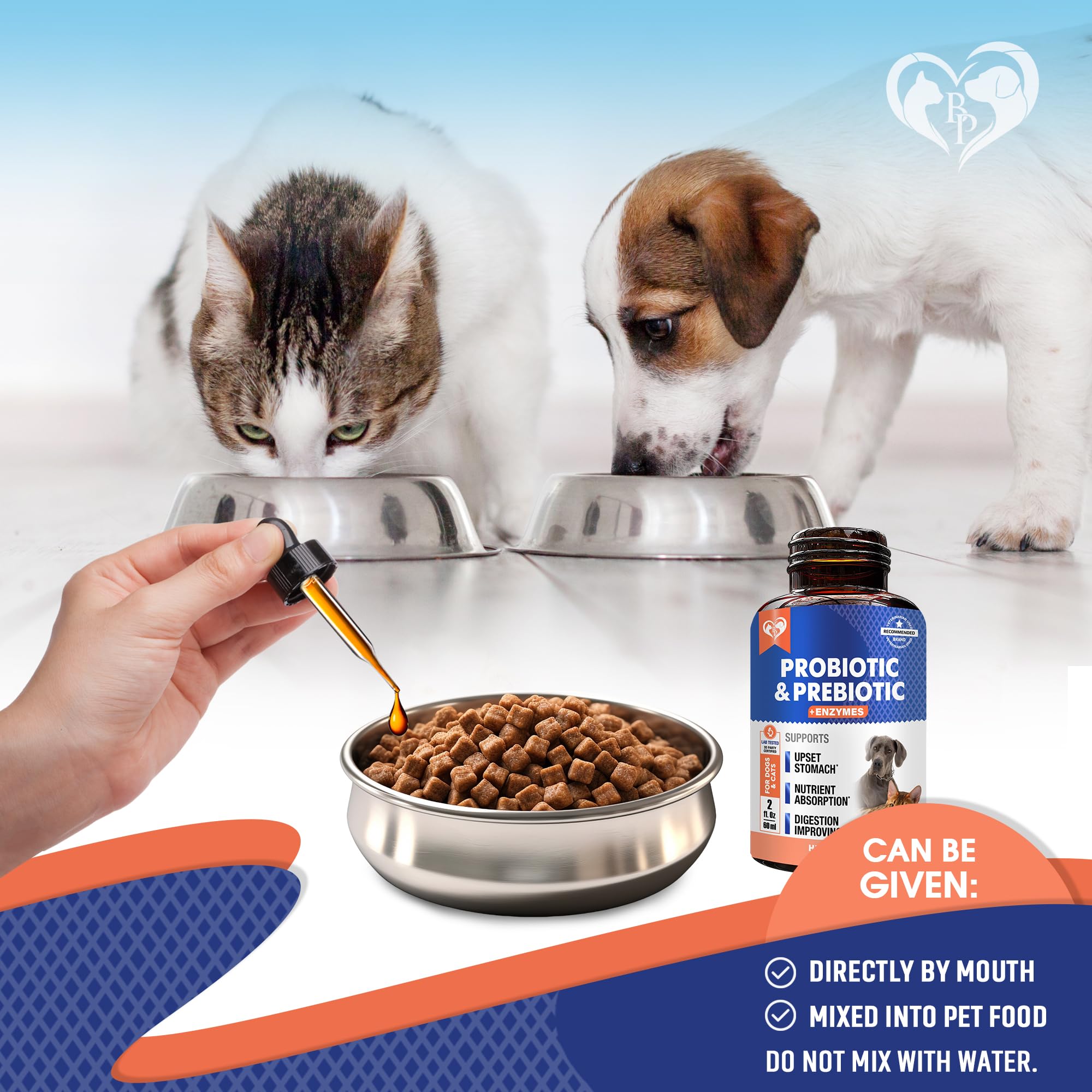 Beloved Pets probiotics gut-health graphic illustrates gut-health support and everyday comfort.