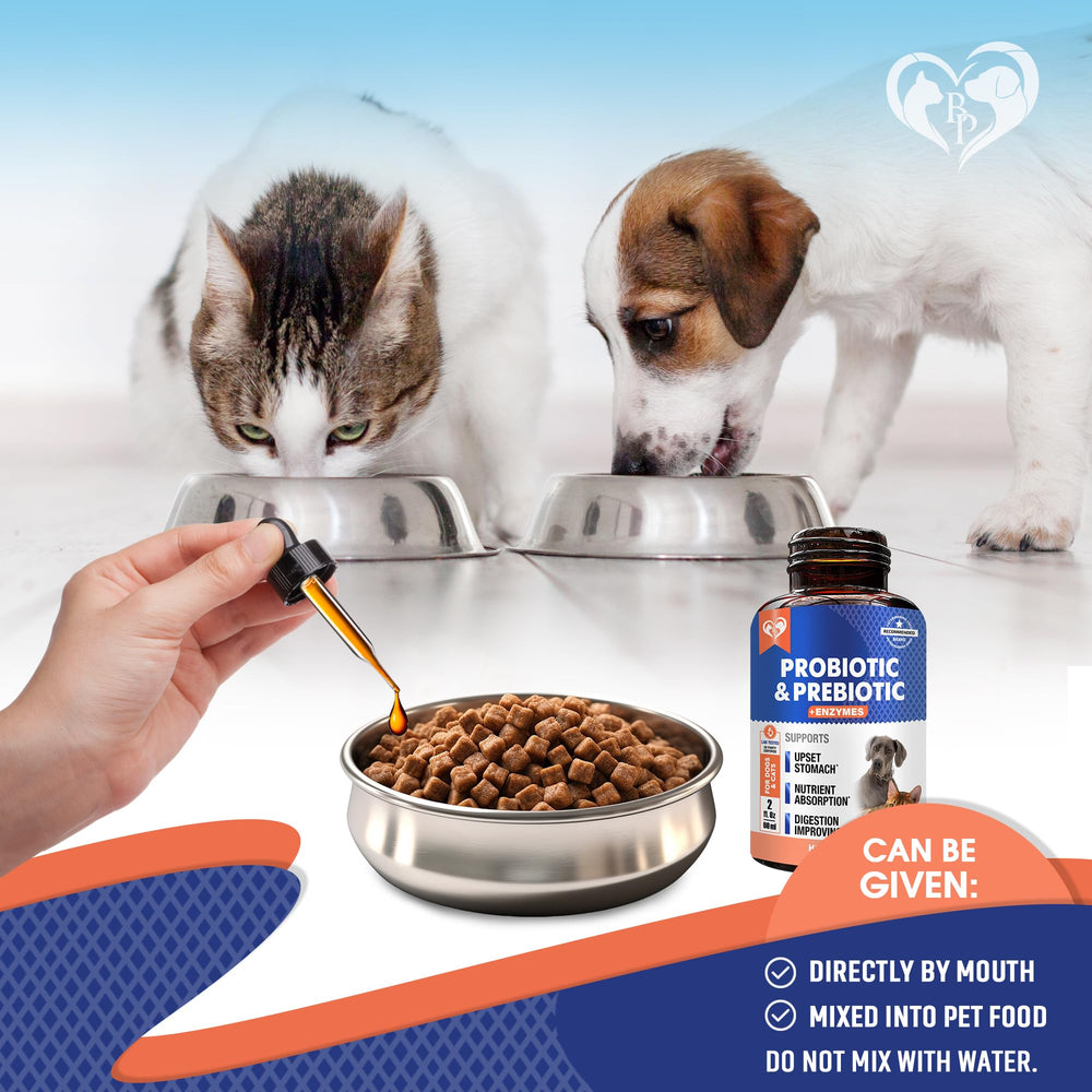 Beloved Pets probiotics gut-health graphic illustrates gut-health support and everyday comfort.