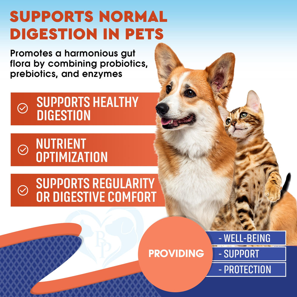 Beloved Pets probiotics ingredient label closeup highlights enzymes and prebiotics in the formula.