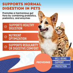Beloved Pets probiotics ingredient label closeup highlights enzymes and prebiotics in the formula.