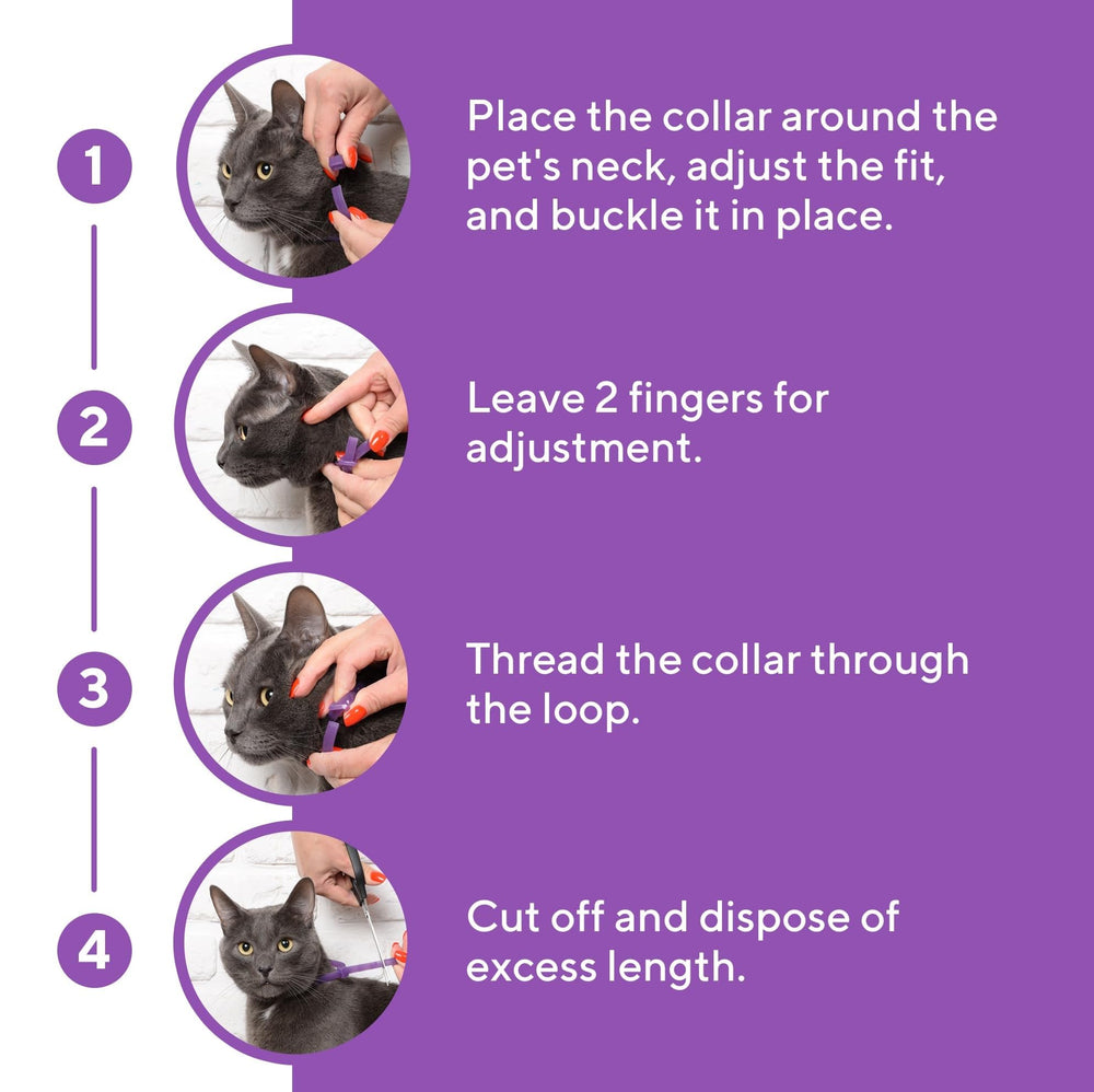 Beloved Pets relaxivet-diffuser-kit-pack presents a complete calm solution
