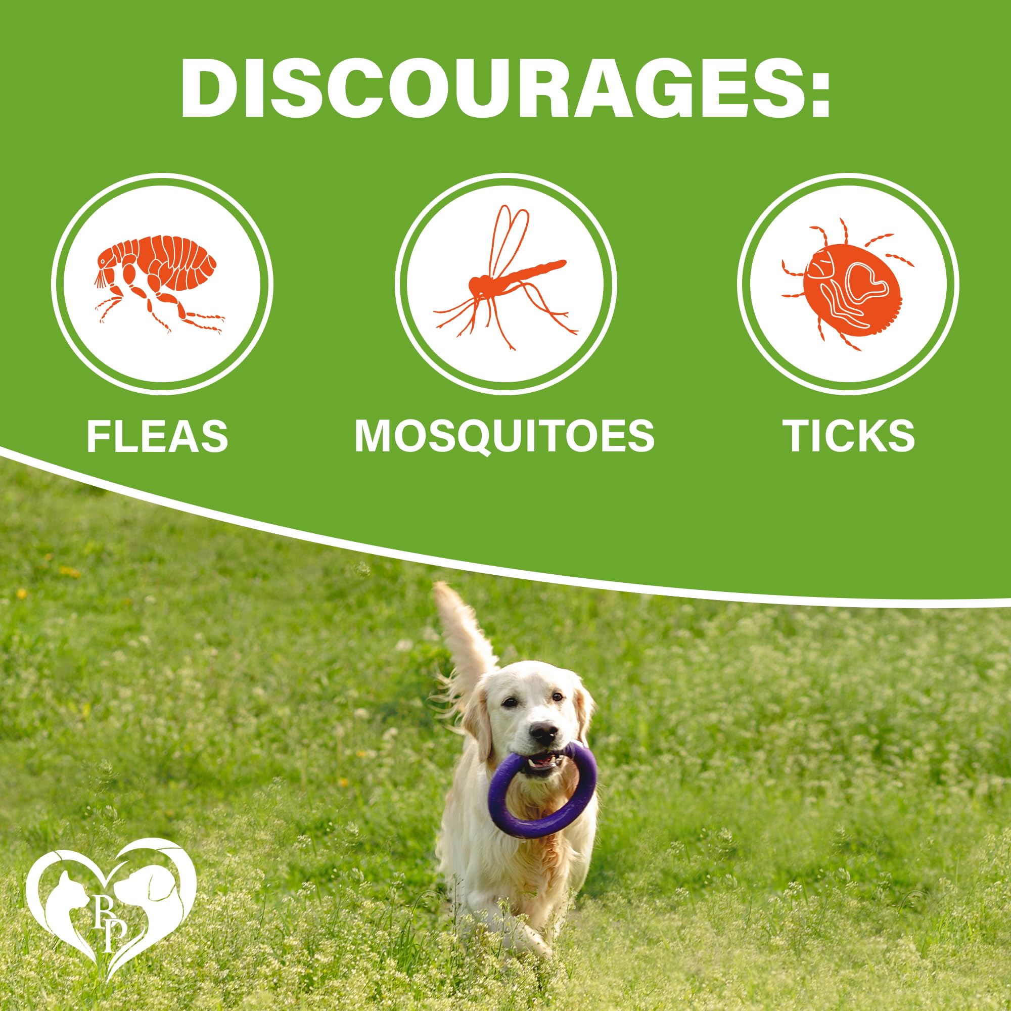 Front view of Beloved Pets Revolution chewables, tasty dog-safe daily use.