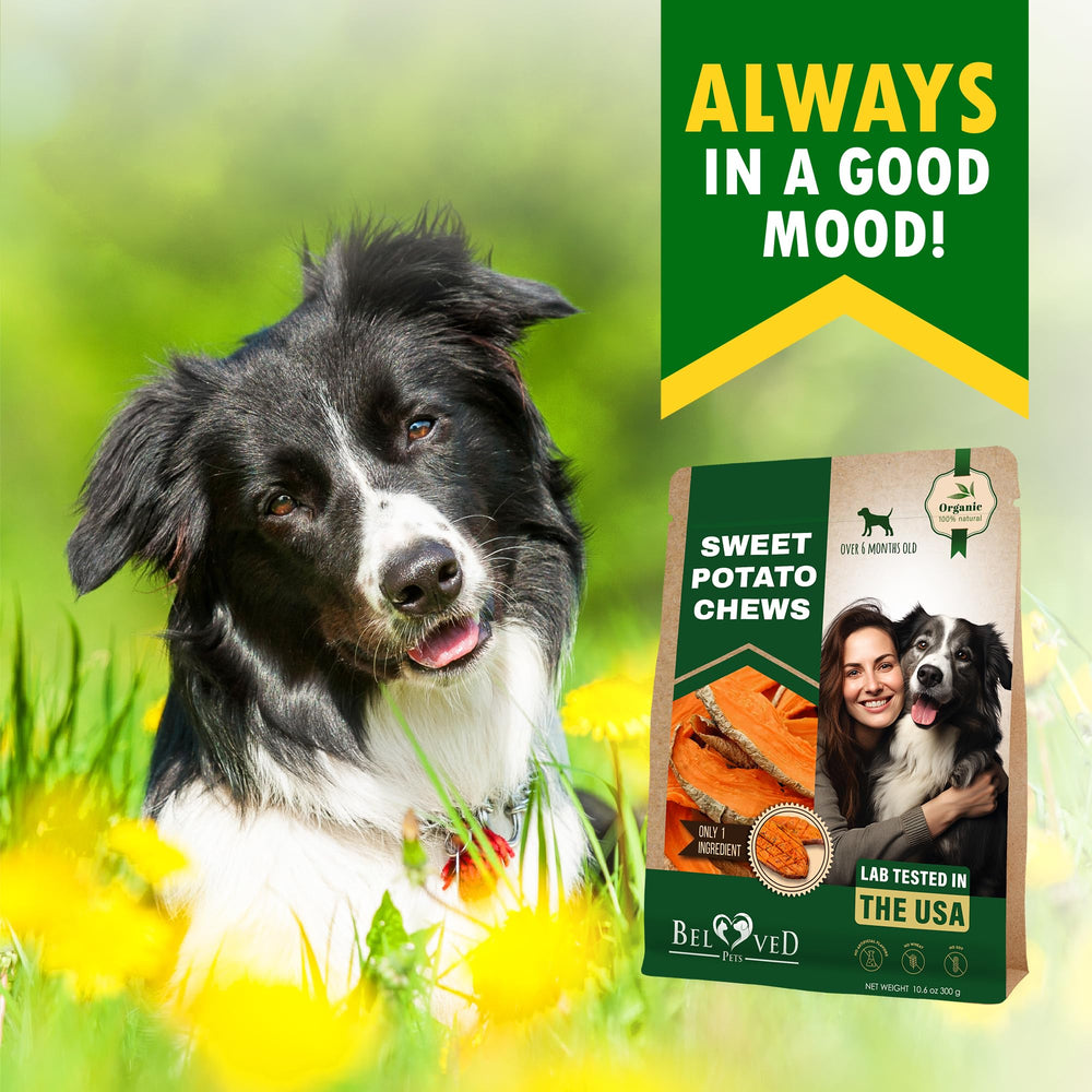 Beloved Pets Single-Ingredient Sweet Potato chips; clean label for sensitive dogs.