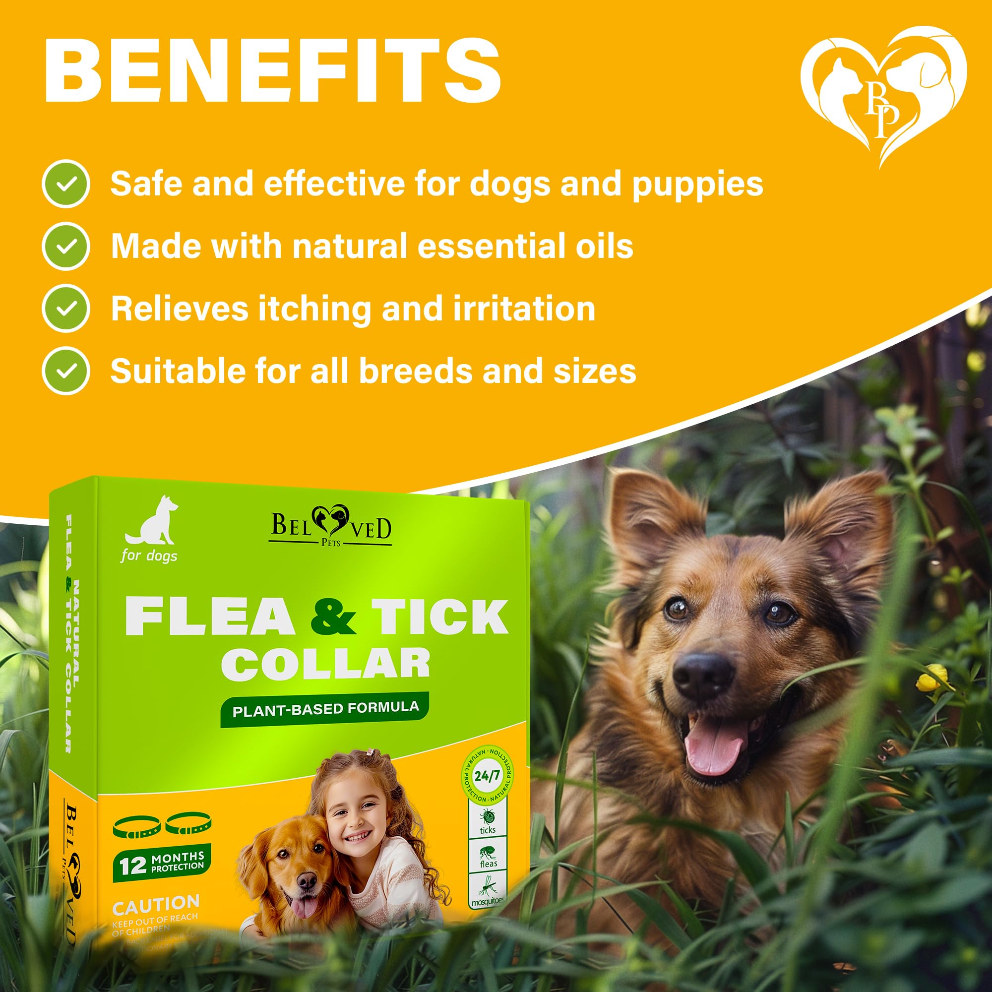 Beloved Pets six-month protection collar helps guard outdoor adventures with steady defense.