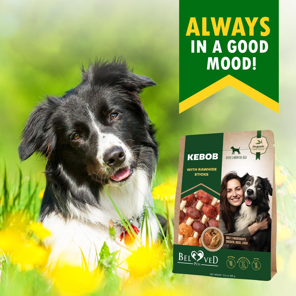 Soft-pack Beloved Pets treats, easy to reseal for travel and outings.
