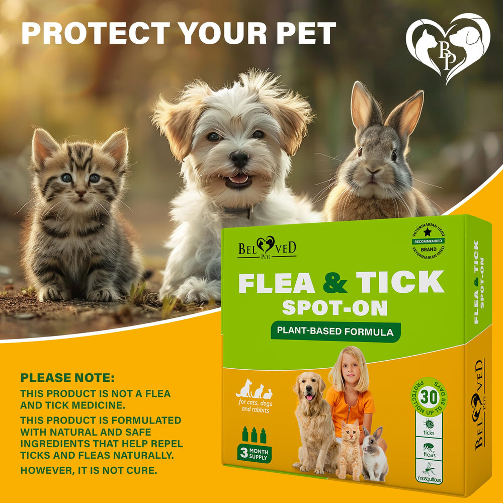 Step-by-step application guide for Beloved Pets GreenFort NEO Spot-On.