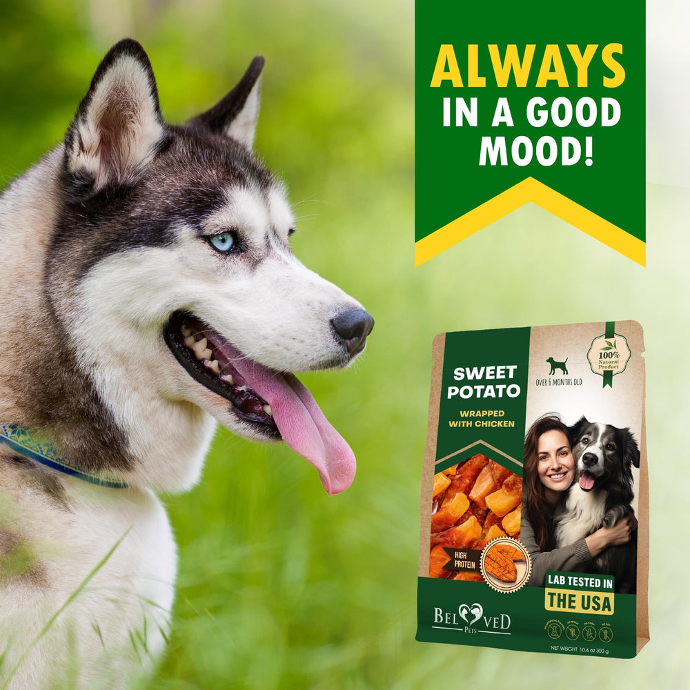 Suitable for dogs of all sizes during play and learning.