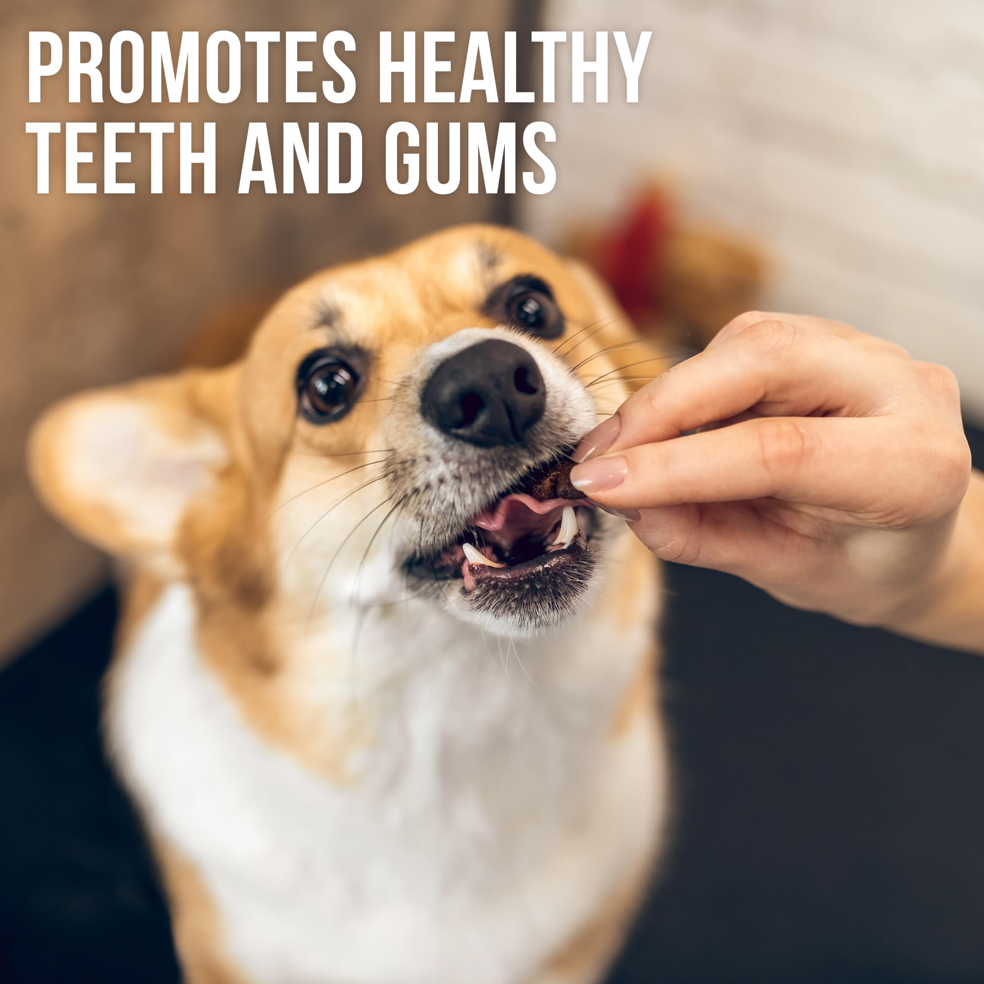 Beloved Pets Sweet Potato Jerky Wraps large dog portion, protein-rich rewards