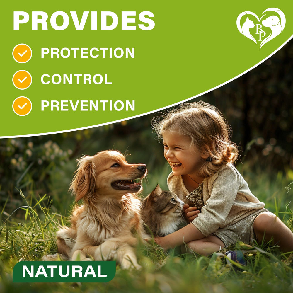Graphic showing three-month protection concept with Beloved Pets GreenFort NEO Spot-On.