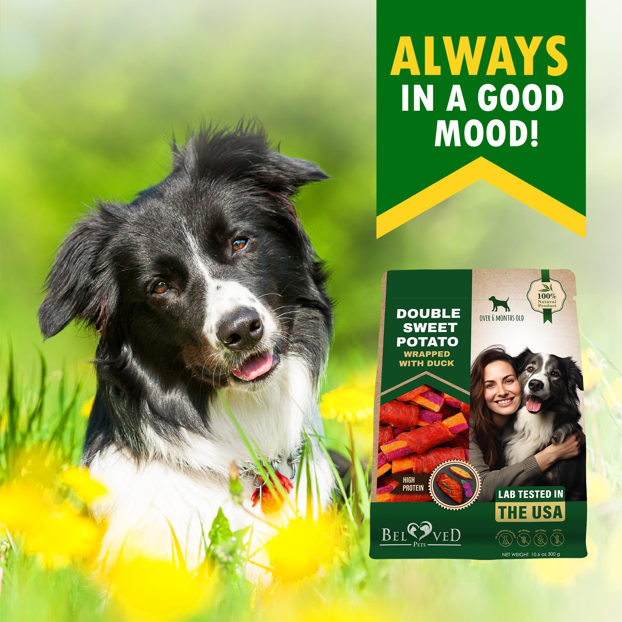 Beloved Pets Training rewards pieces shown in small bites for quick training.