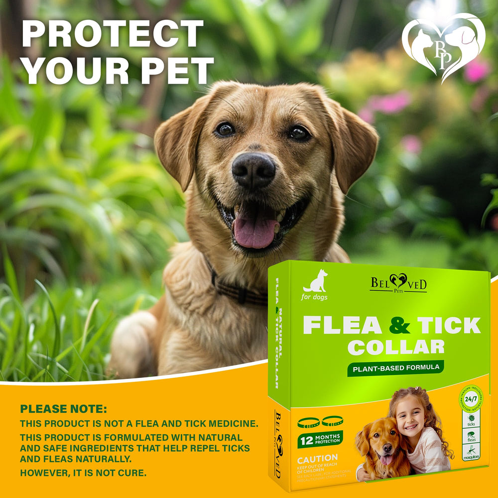 Beloved Pets two-pack collar set provides reliable pest defense for multiple dogs.