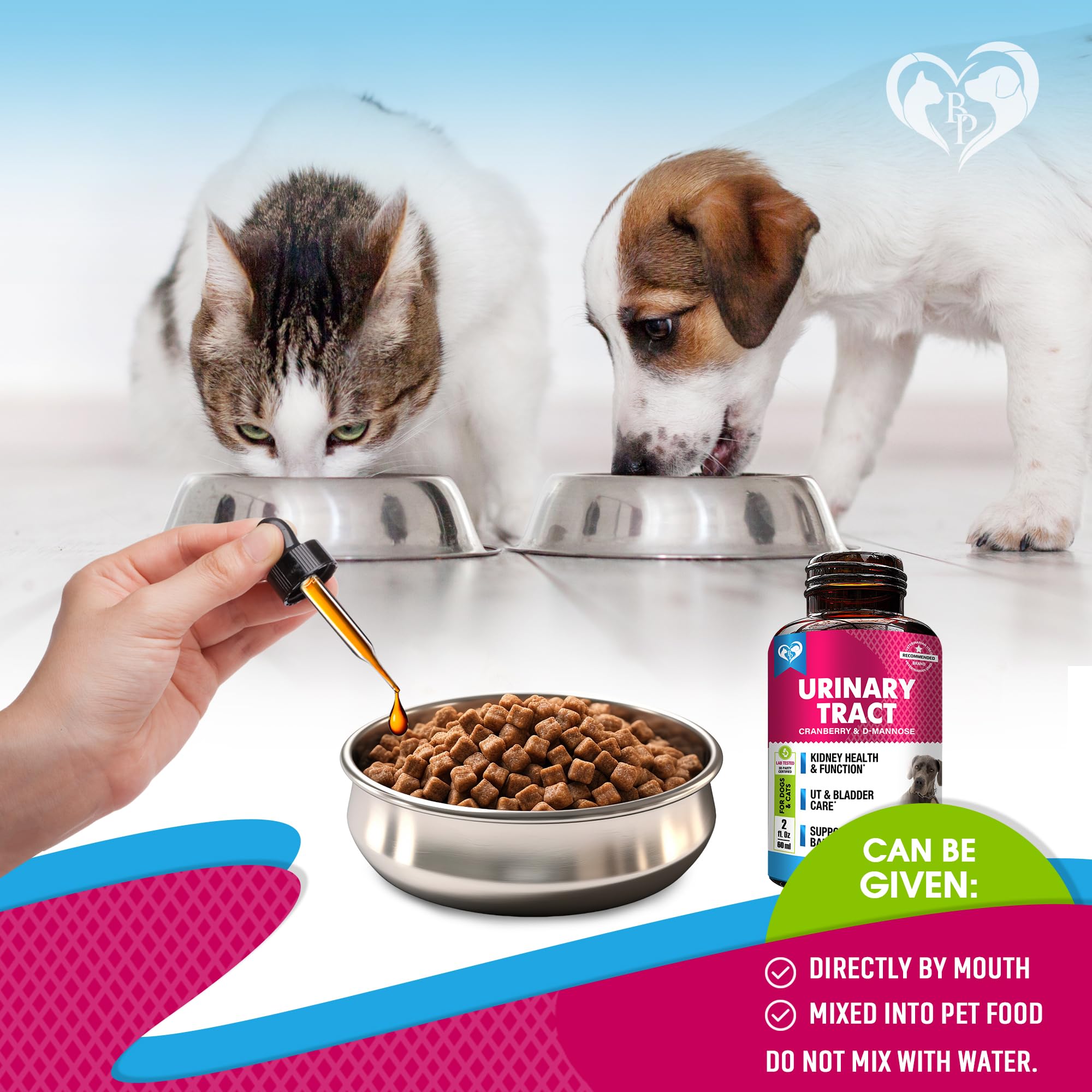 Illustration showing urinary health benefits for kidney and bladder comfort with Beloved Pets.