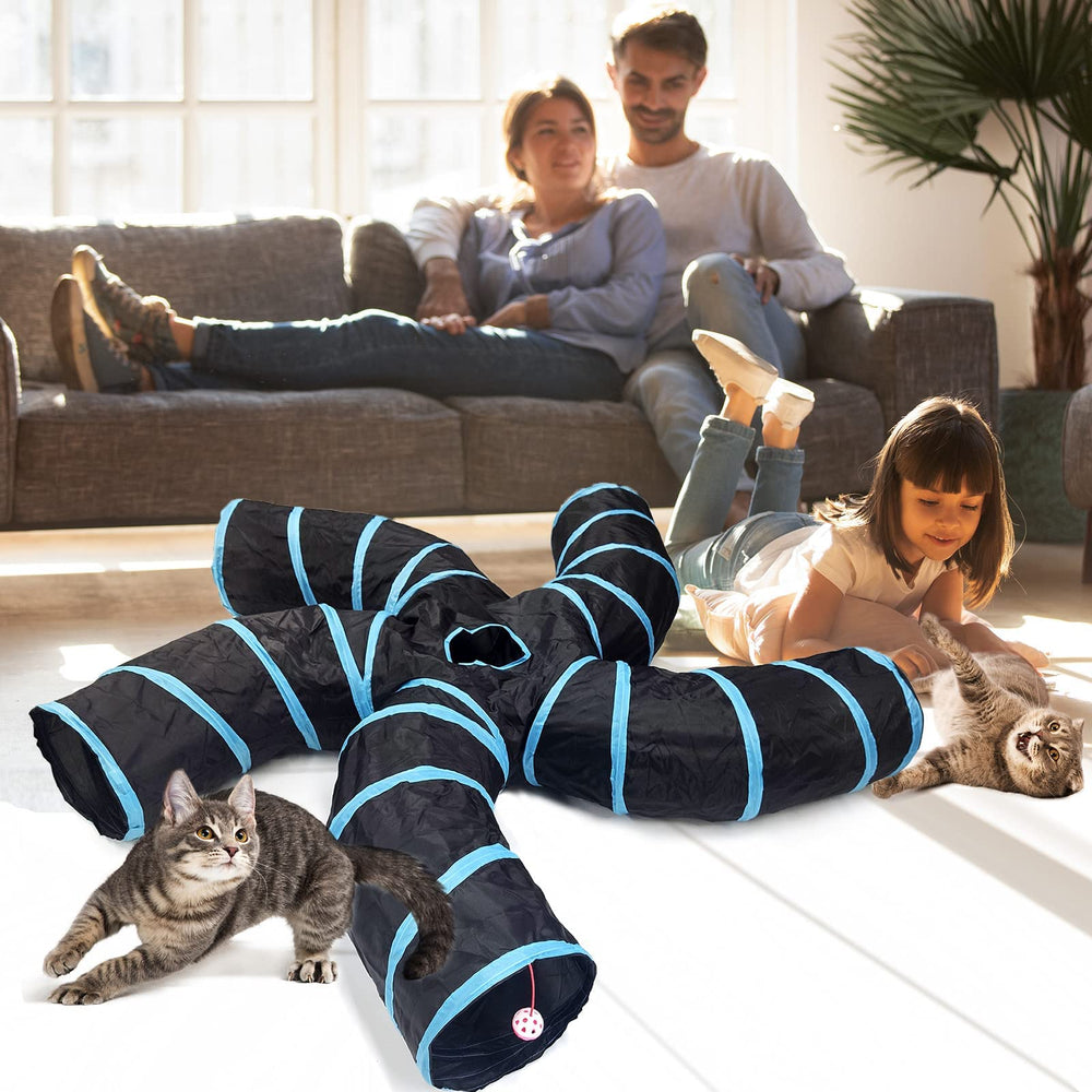 Bemodst sprung-steel frame supports energetic play for active cats.