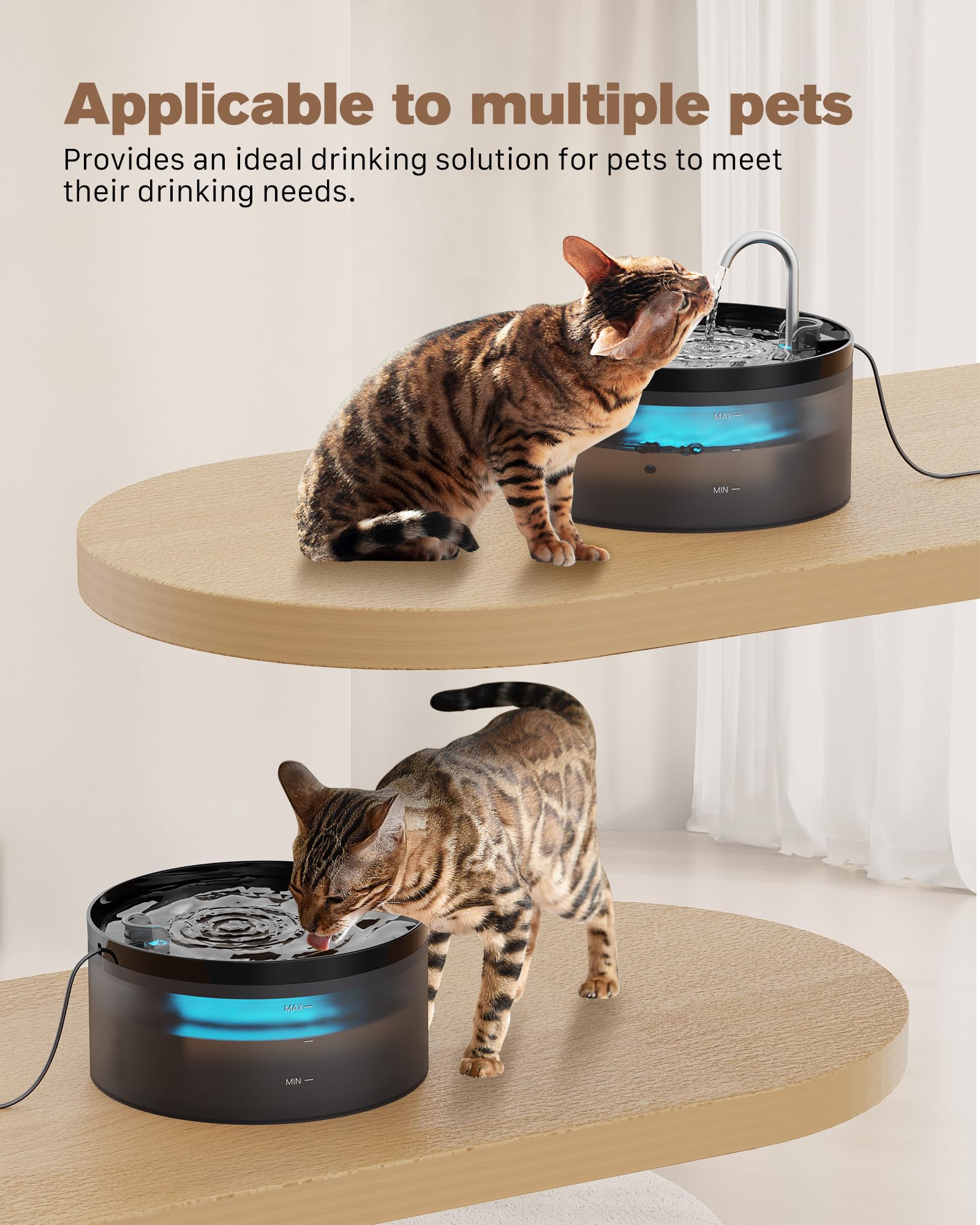 BEMOONY 3.2L capacity tank keeps pets hydrated on trips.