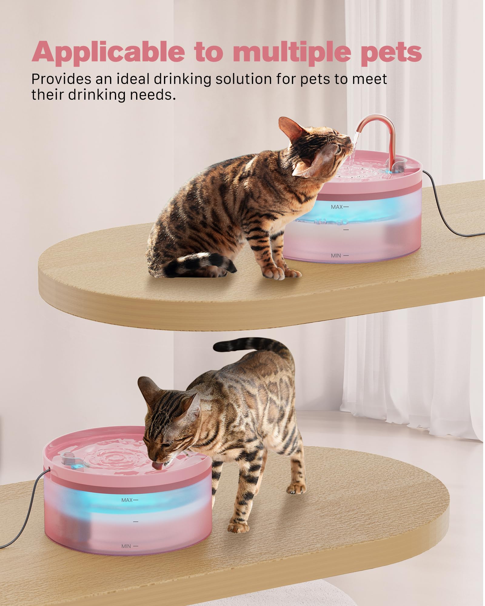 BEMOONY 3.2L capacity suits multi pet households and travel