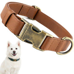 Ben & Fellows brown silicone dog collar medium close-up shows soft, comfortable fit for daily walks.