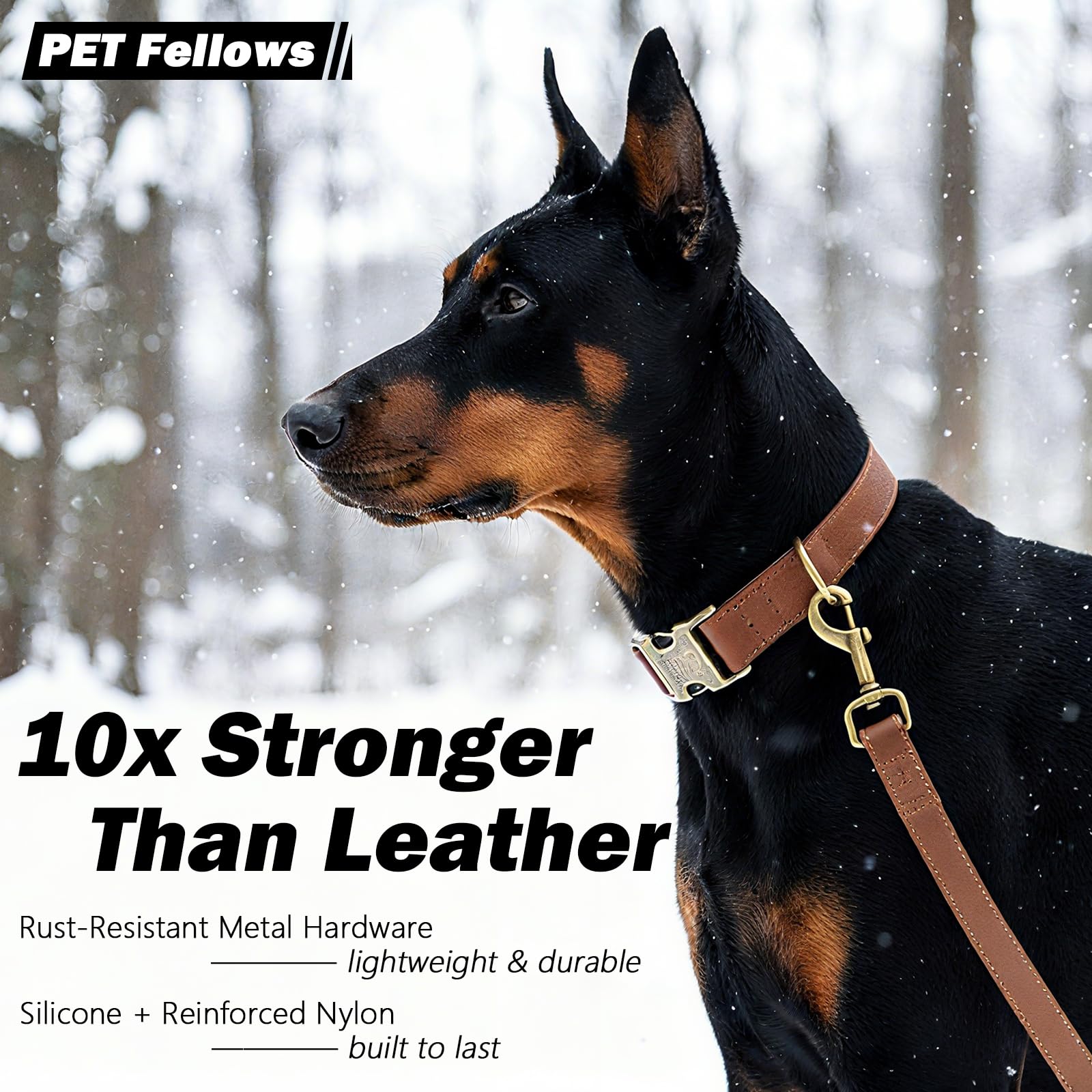 Ben & Fellows waterproof odor-proof dog collar buckle detail for muddy adventures.