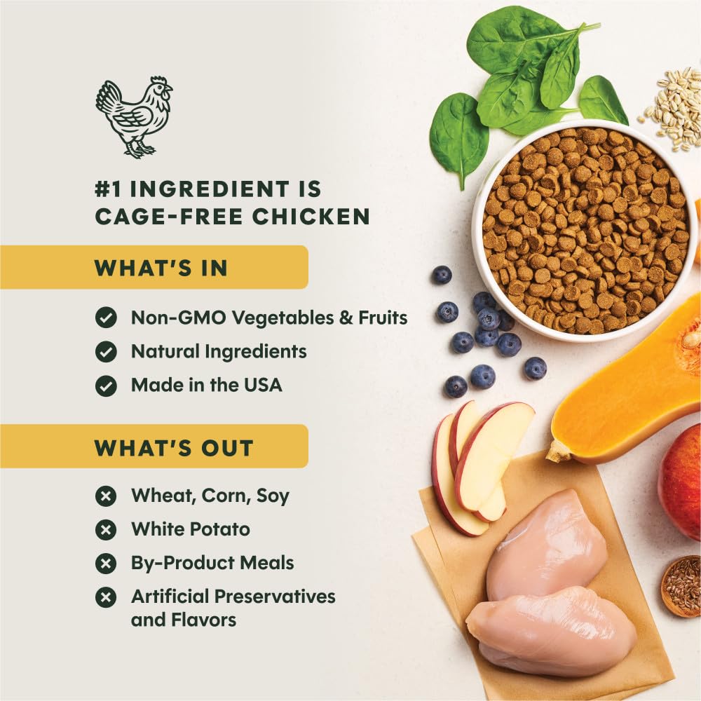 Be Natural Instinct real chicken and brown rice ingredients for clean protein.