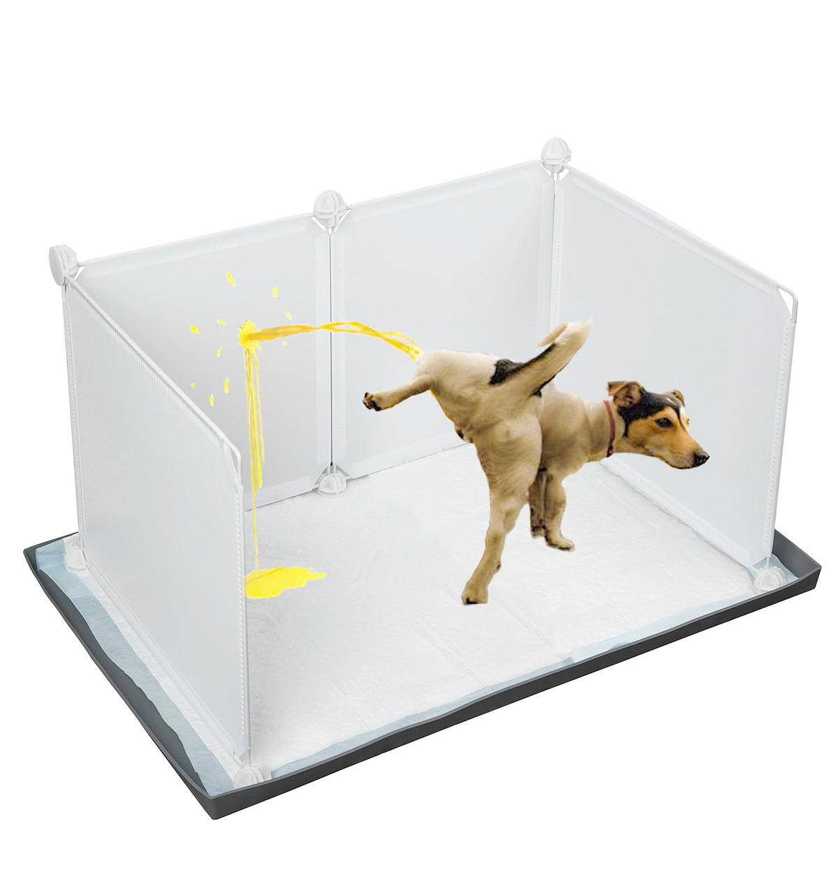 Bencacawinstyle dog litter box with high walls for mess-free indoor use