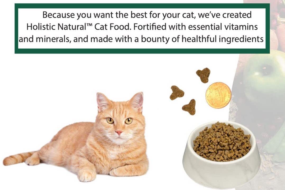 Bench & Field chicken meal component in dry cat food