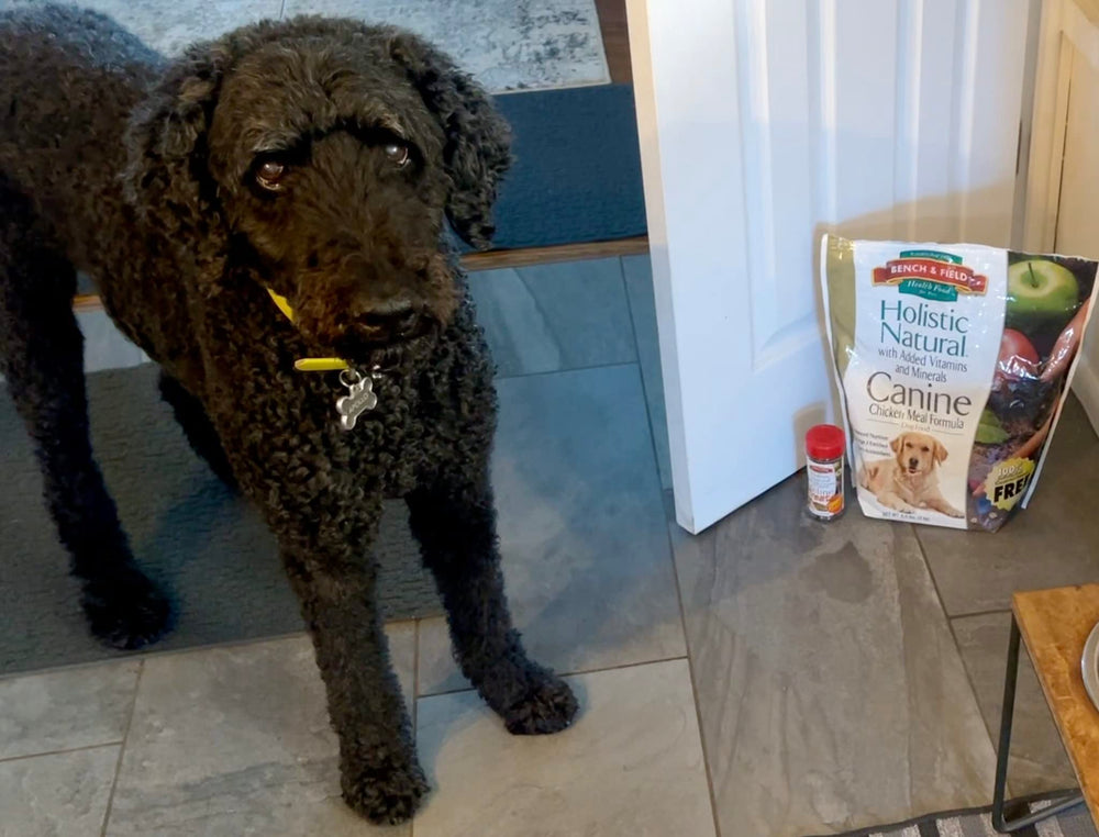 Bench and Field Holistic dog food bowl with kibble for everyday feeding.