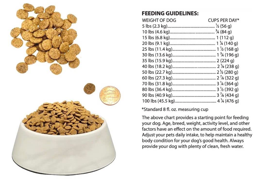 Close-up of quinoa grains in Bench and Field Holistic formula signals nutritious carbohydrates.