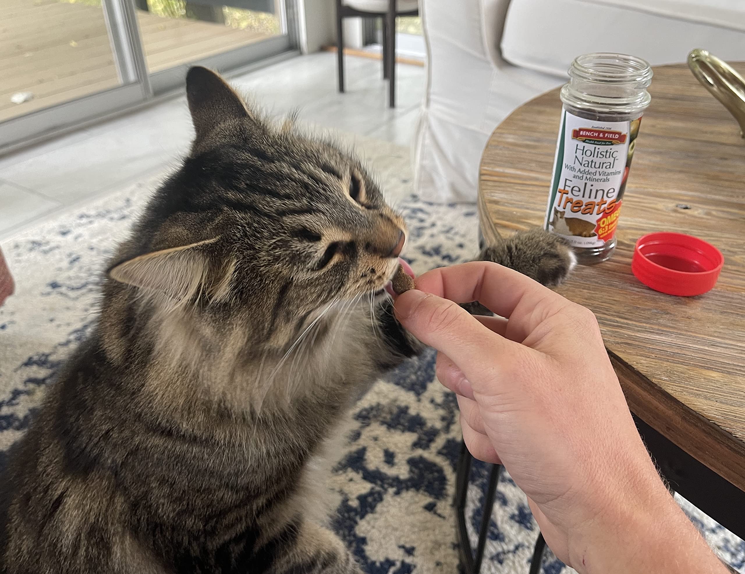 Bench & Field omega-enriched cat treats supporting healthy skin and coat
