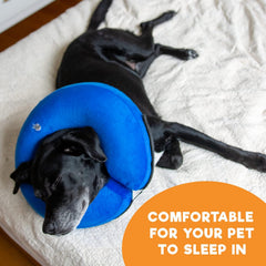 BENCMATE adjustable-neck-strap ensures a secure, customized fit for all breeds.